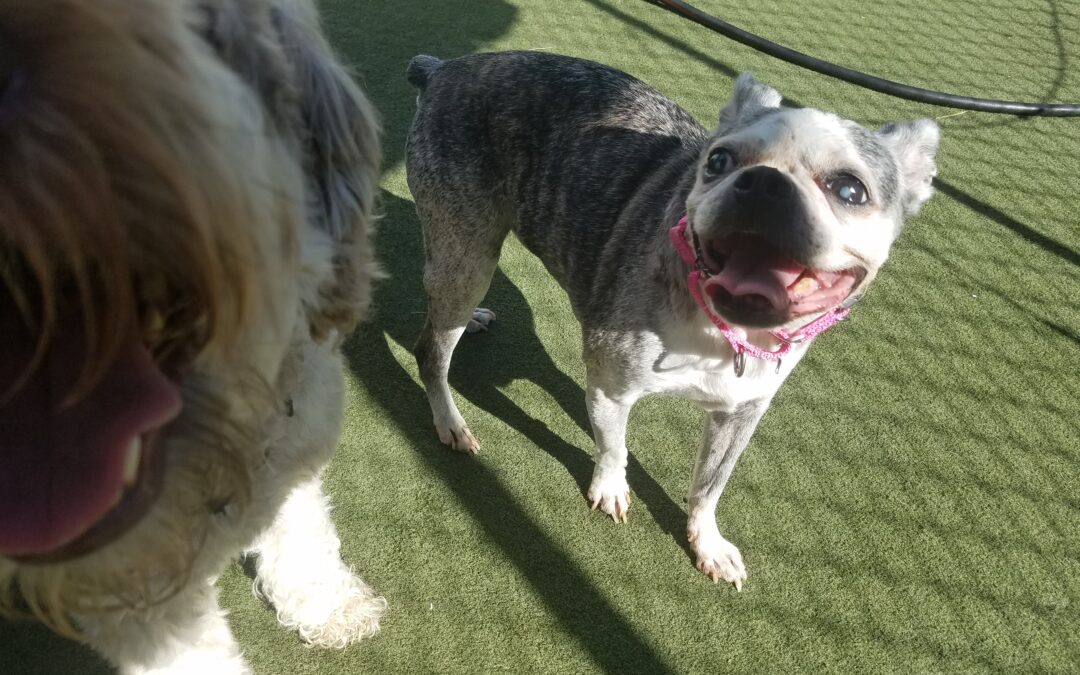 9/26/2025 Playtime! :)