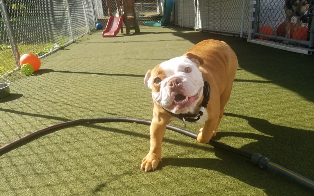 9-27-25 Playtime! :)