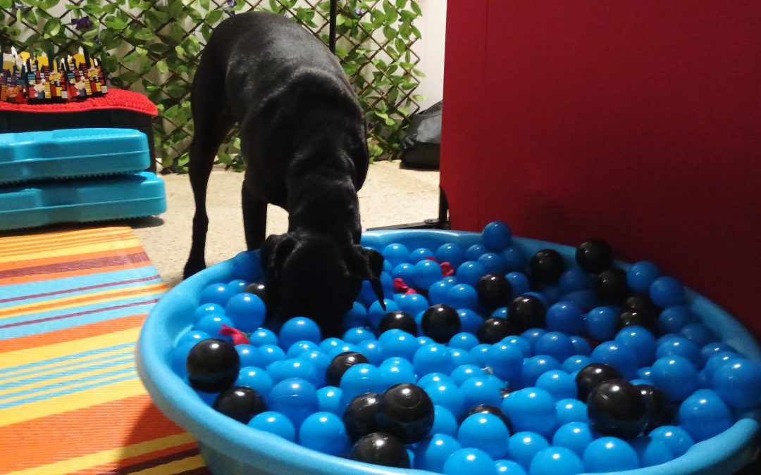 9-11-25 Afternoon Activities! :)