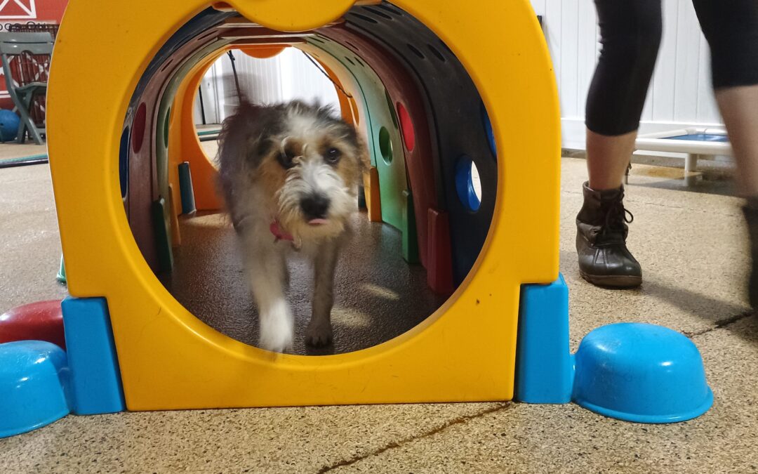 9/25/2025 Jolly Ball & Tunnel activity! :)