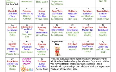 September Calendar of Activities