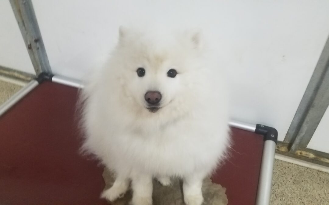 10/11/25 Playtime! :)