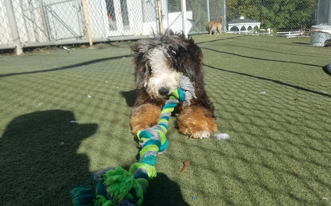 10/16/2025 Playtime! :)