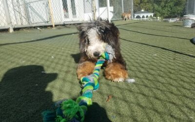 10/16/2025 Playtime! :)