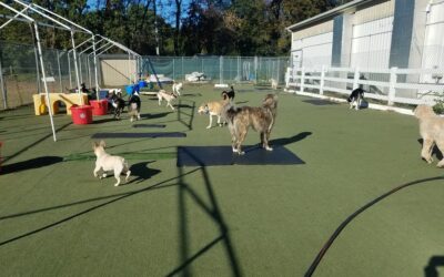 10/24/25 Play Time :)