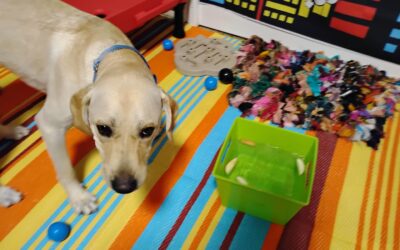 10/7/25 Pumpkin Lickmat, Fall Squeaky Toys, Bobbing for Apple Slices! :)