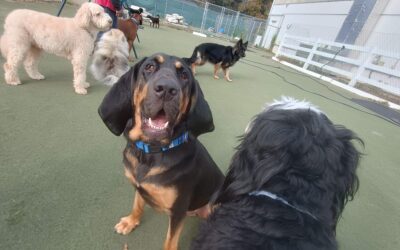 10_28_25 Playtime :-)