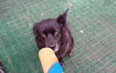 Activities 10.28.25:)