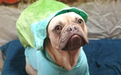 Costume Party! 10.30.25