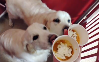 10.30.25 Activities :)