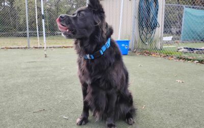 10-31-25 Afternoon Activities! :)