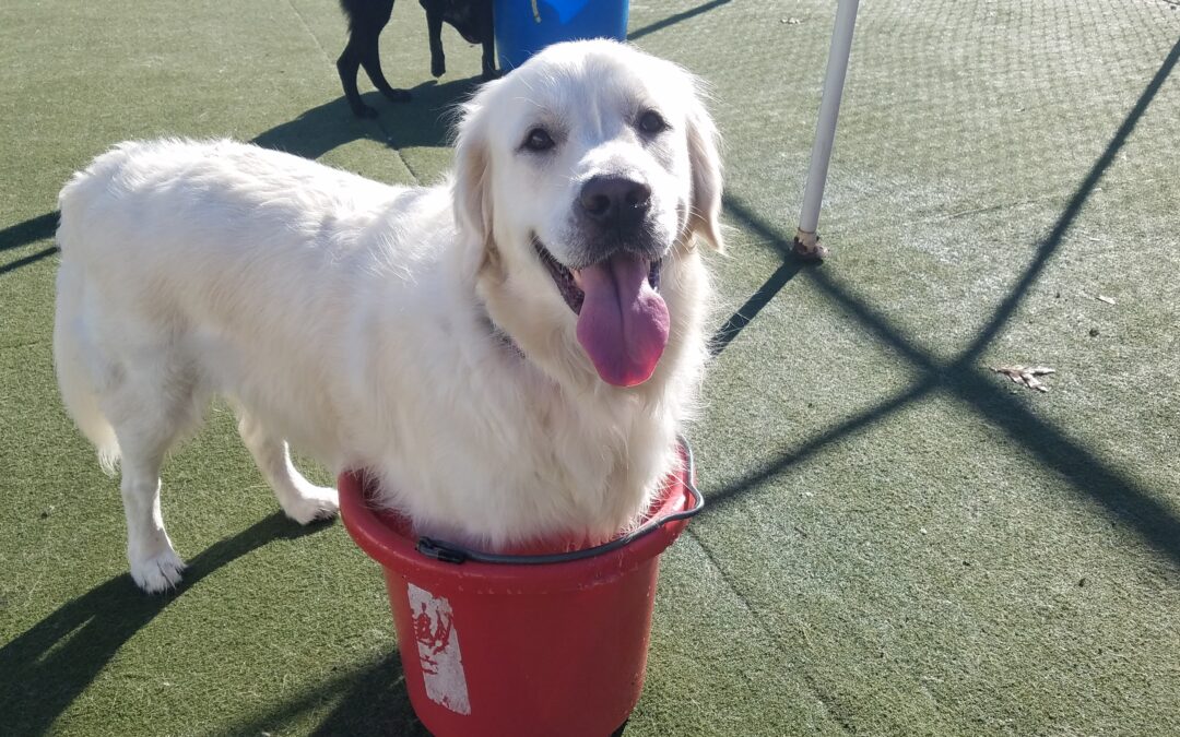 Afternoon Playtime:) 11.02.25