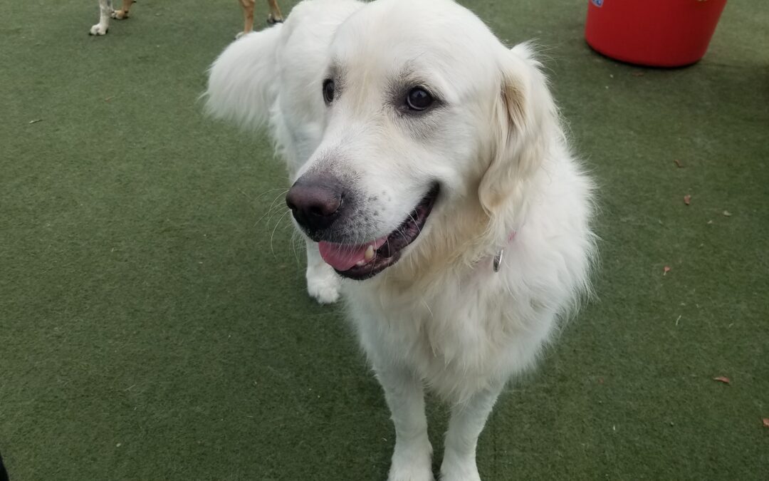 11-3-25 Chuck It! :)