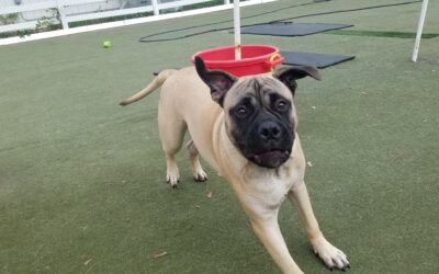 11-3-25 Playtime! :)