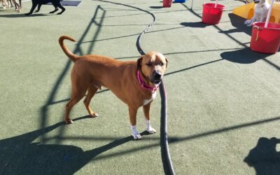 11/04/2025 Playtime ! :)