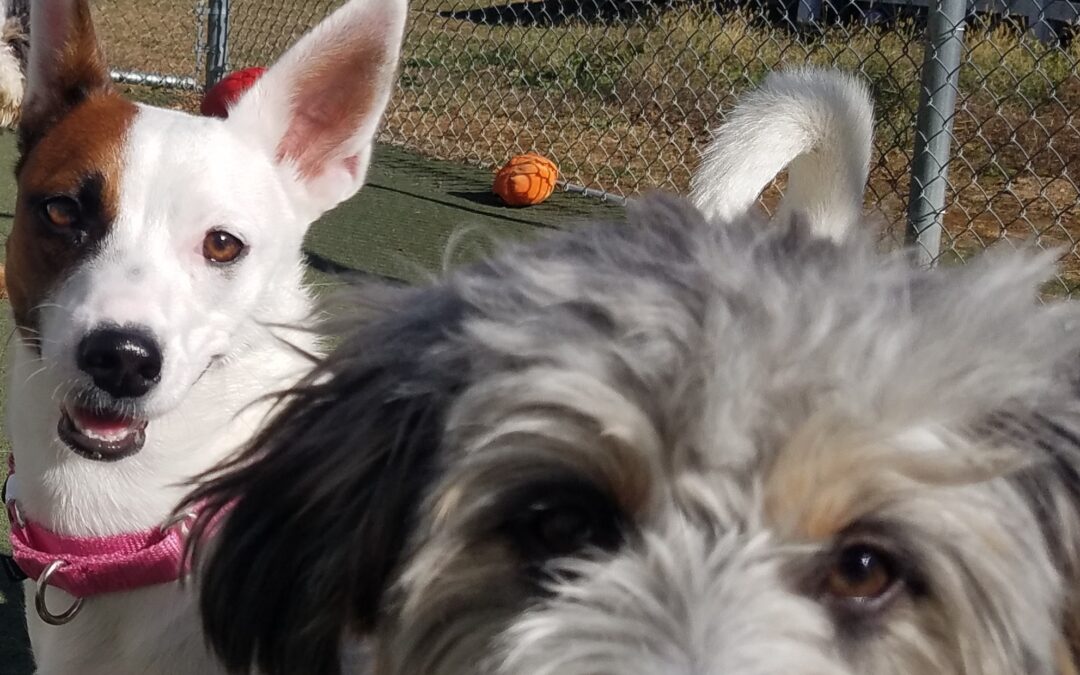 11/6/2025 Playtime! :)