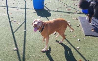 Playtime :) 11.08.25