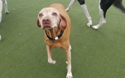 Playtime 11.10.25 :)