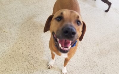 Playtime :) 11.11.25