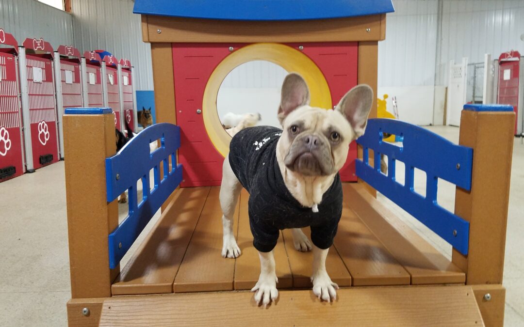 Playtime :) 11.12.25