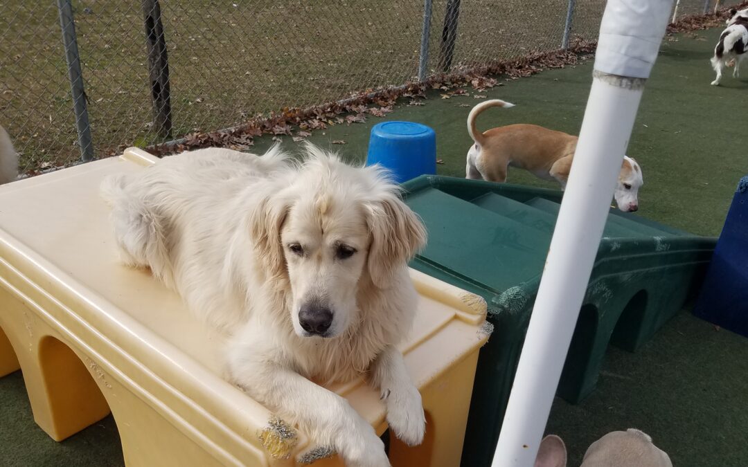 Playtime :) 11.13.25