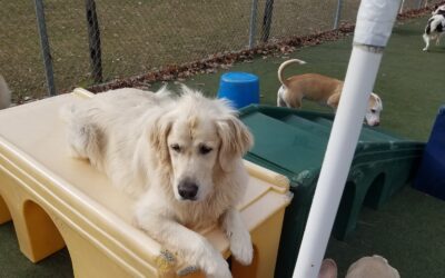 Playtime :) 11.13.25