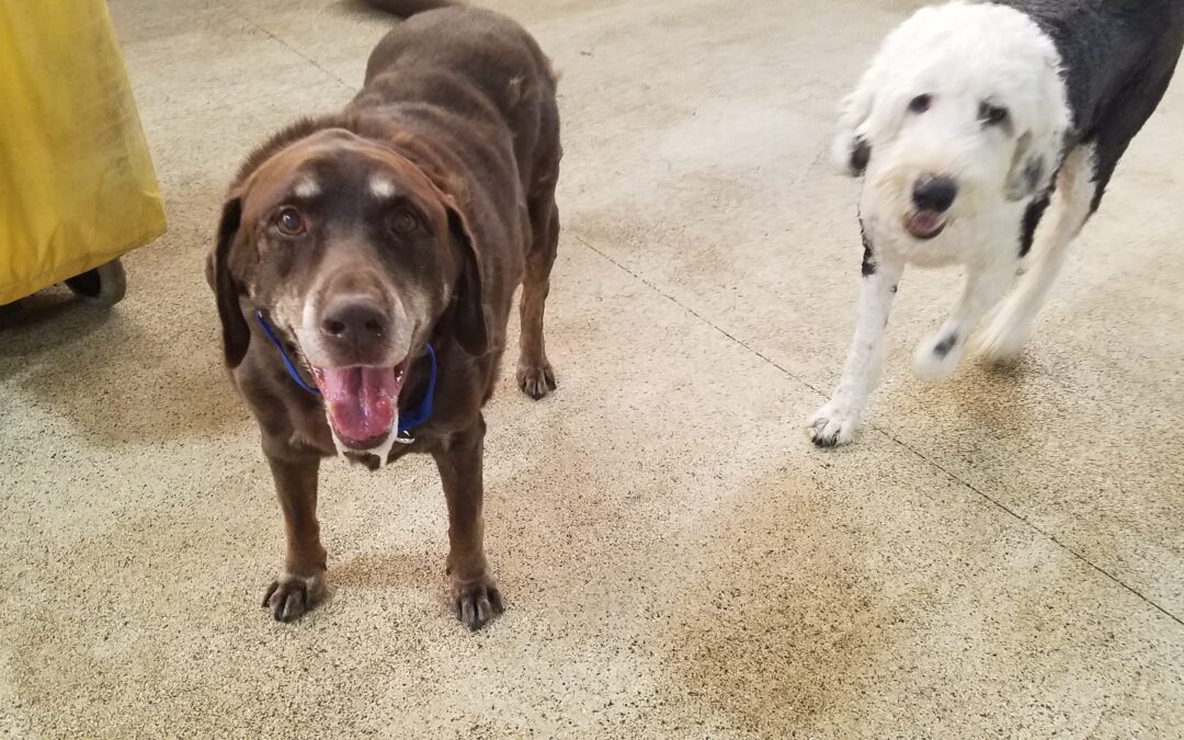 11-28-25 Playtime! :)