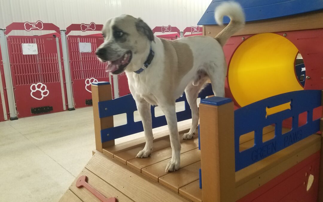 Playtime :) 11.29.25