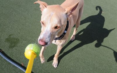 11-1-25 Afternoon Activities! :)