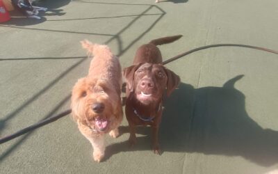 Activities 11.02.25 :)