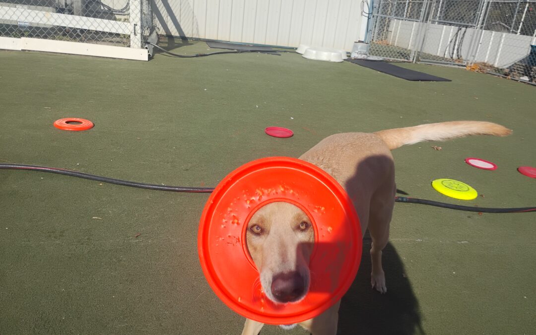 Activities :) 11.05.25