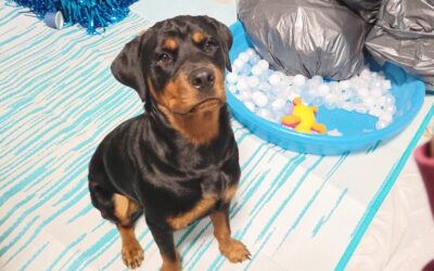 Activities :) 11.09.25