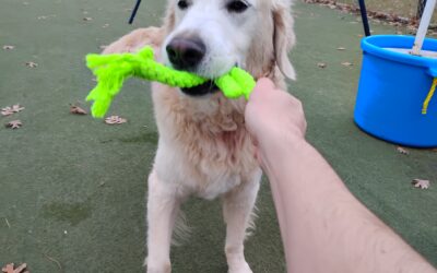 Playtime :) 11.09.25