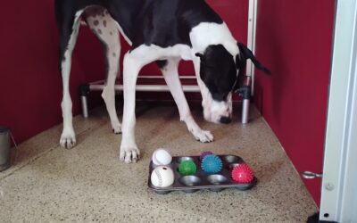 Activities 11.10.25 :)