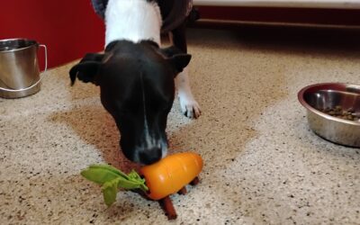 Activities :) 11.11.25