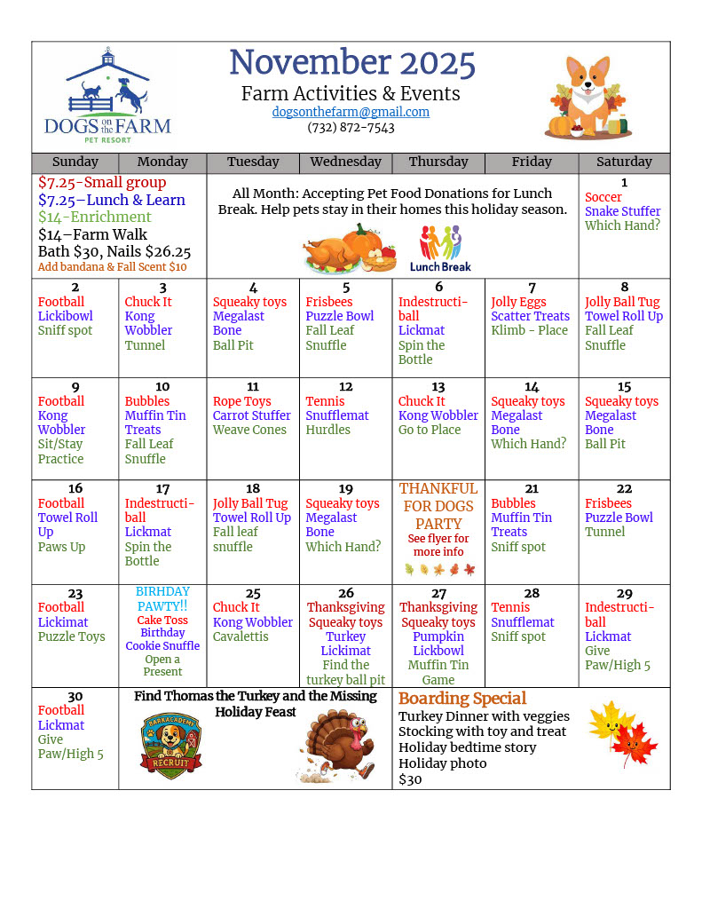 november-2025 November 2025