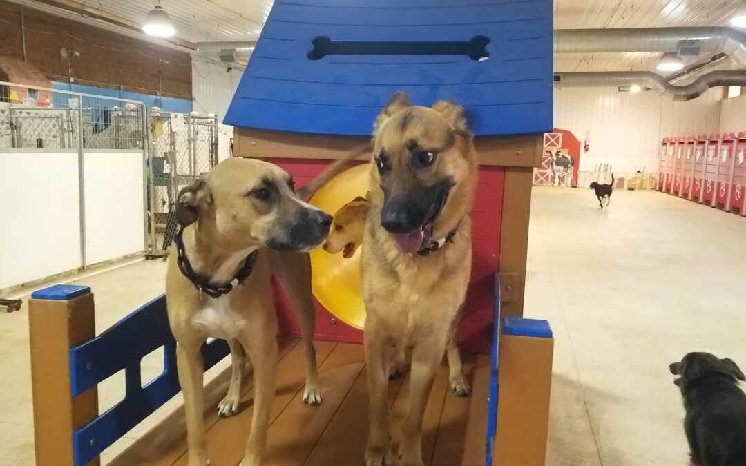12-13-25 Playtime! :)