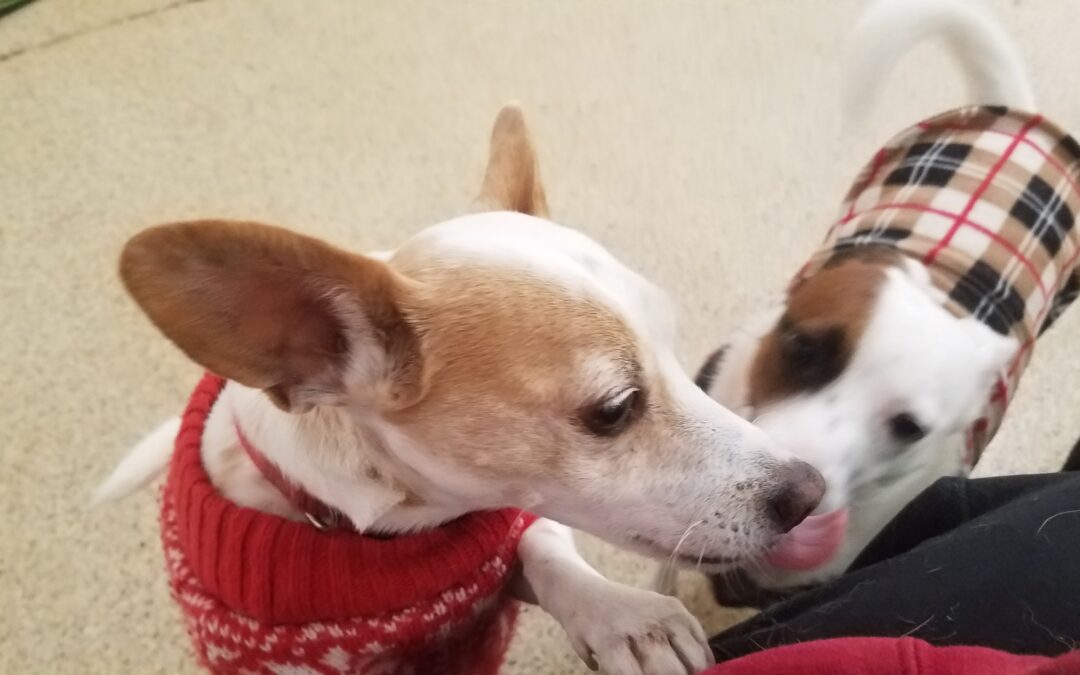 12-17-25 Playtime! :)
