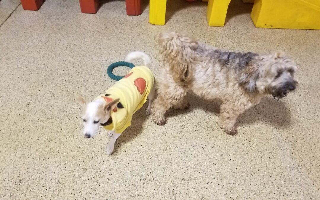 12-19-25 Playtime! :)