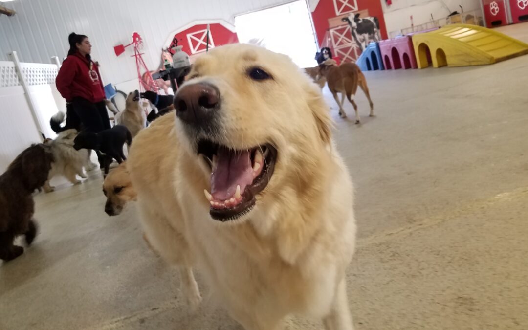 12/22/2025 Playtime! :)