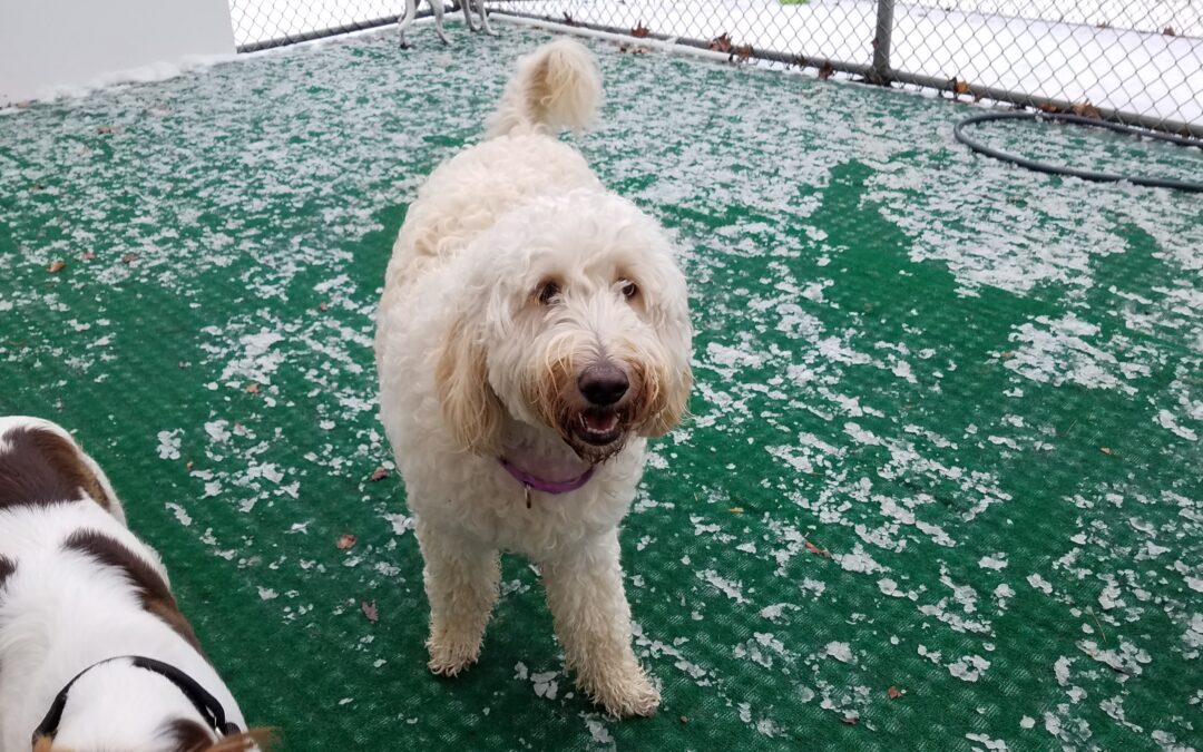 12/23/25 Playtime! :)