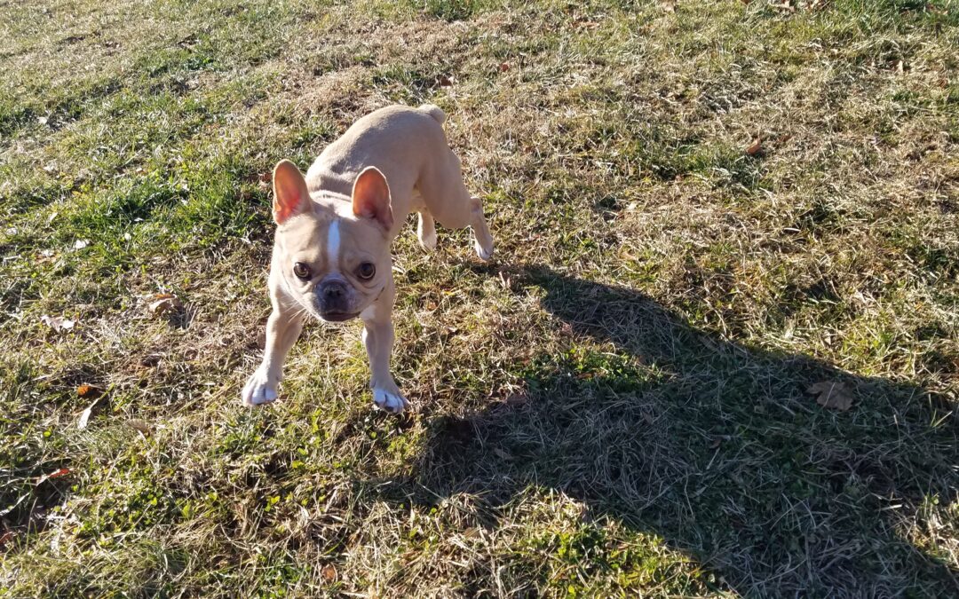 12.24.25 Playtime! :)