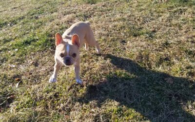 12.24.25 Playtime! :)