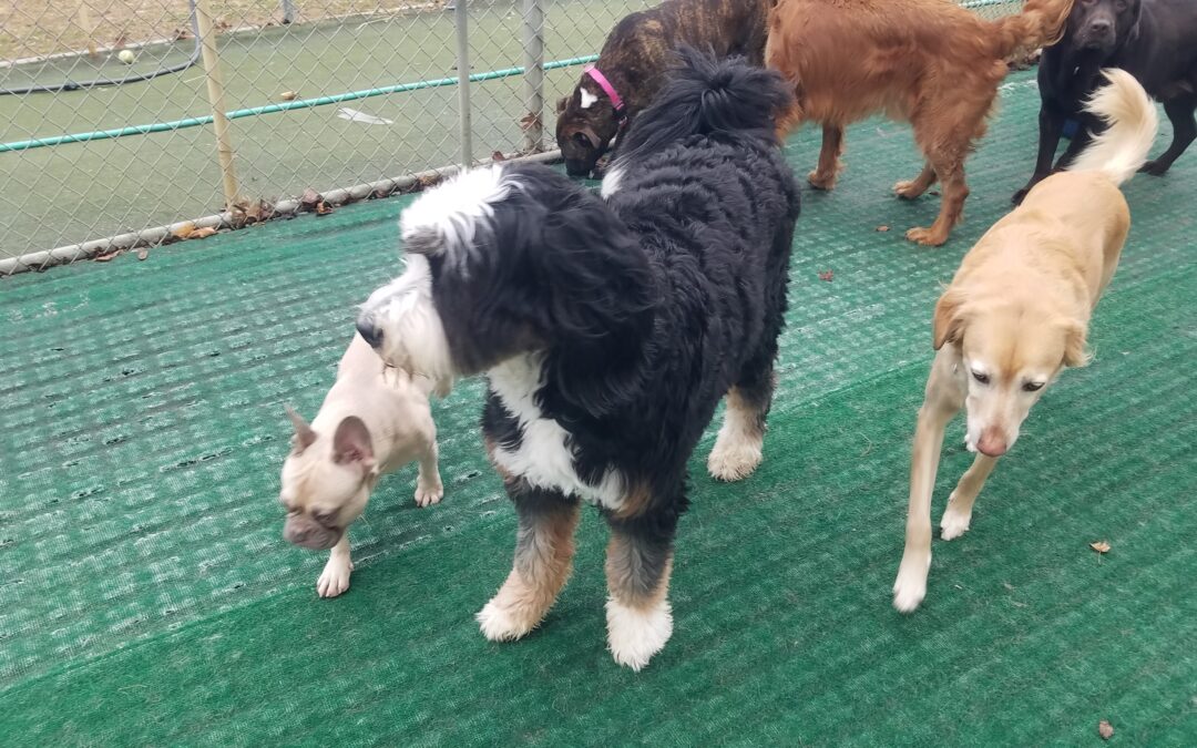 12-25-25 Christmas Playtime! :)