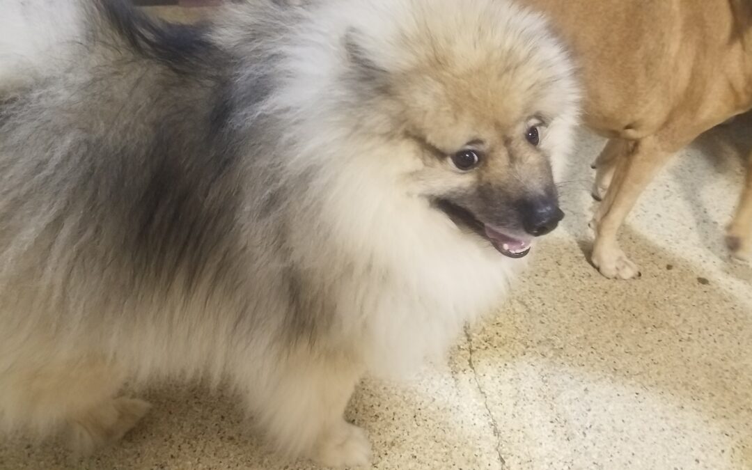 12/26/25 Playtime! :)