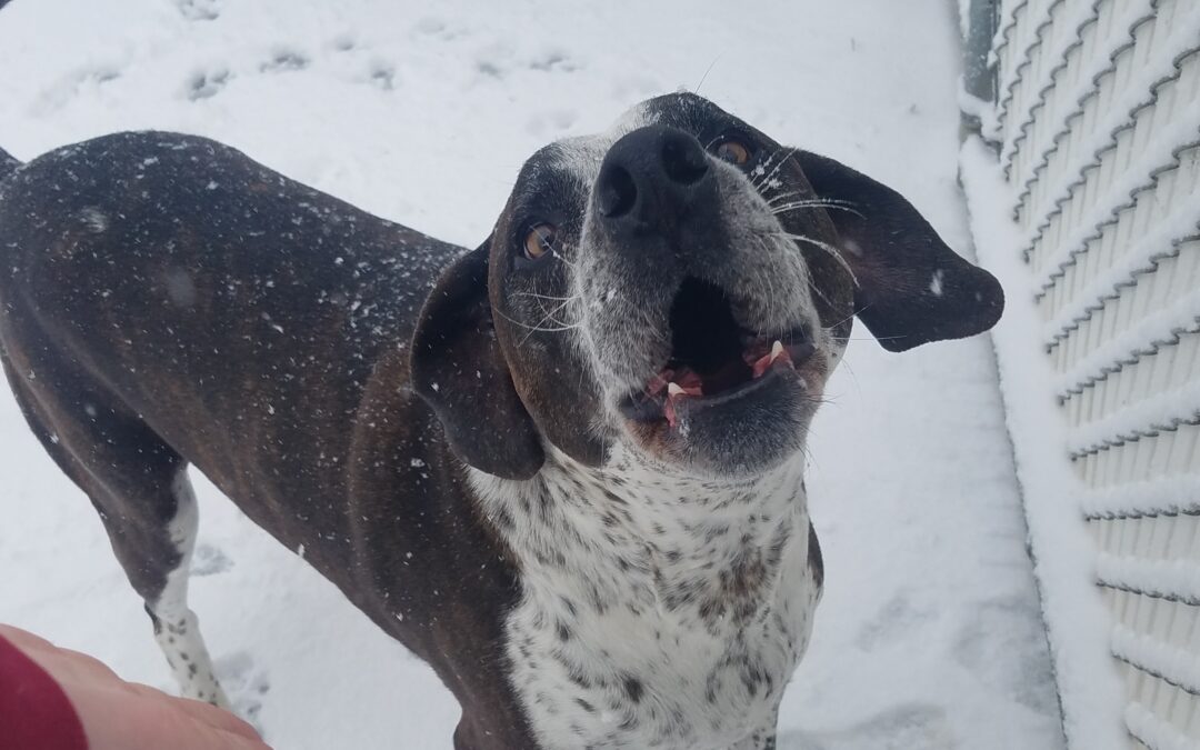 12/27/25 Playtime! :)