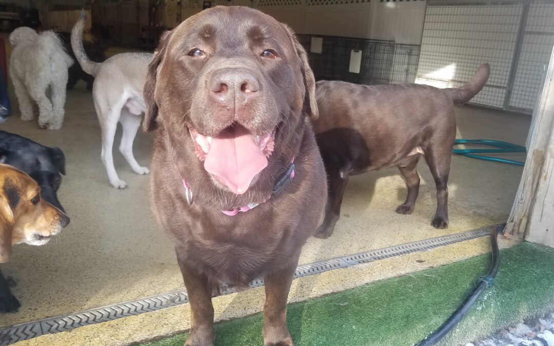 Playtime Pictures :) 12.28.25