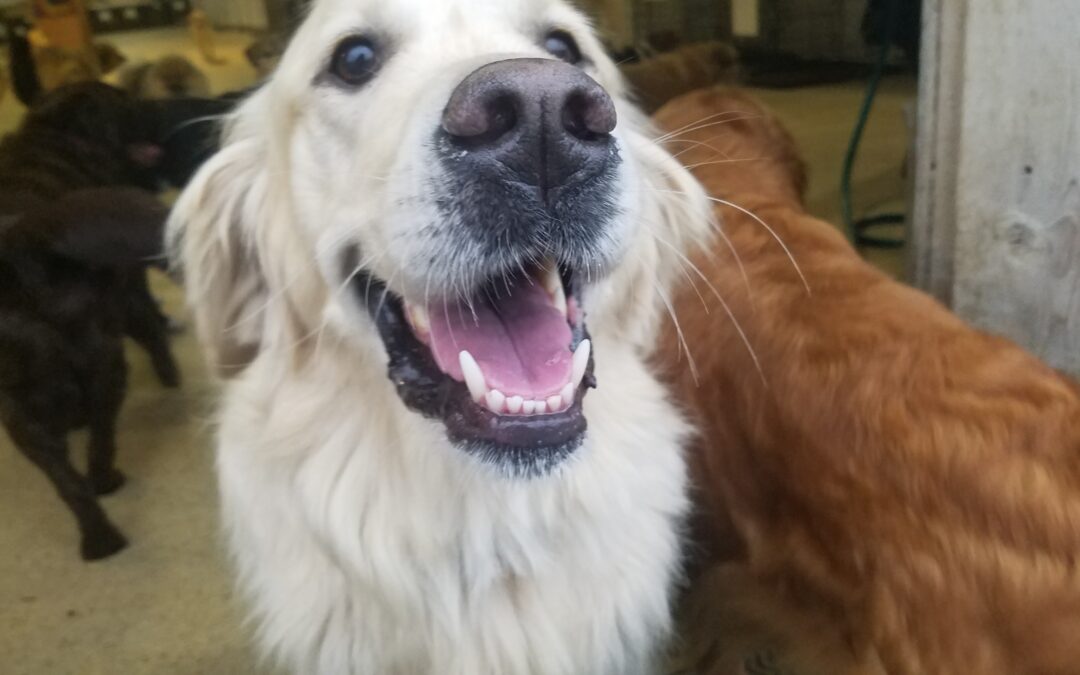 Playtime Pictures :) 12.29.25