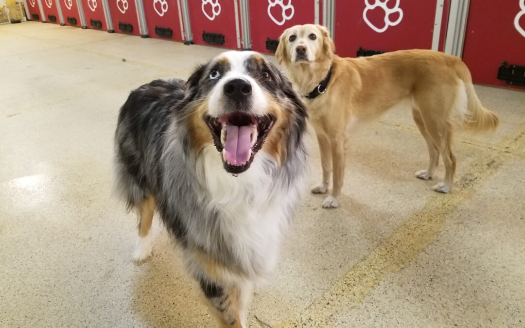 Playtime! :) 12.31.25