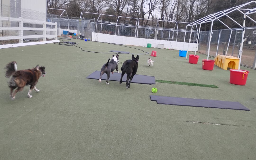 12-13-25 Soccer, Snufflemat, + Balance Beam! :)